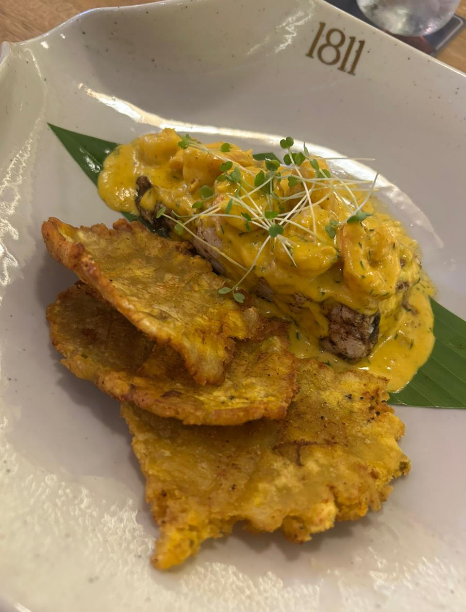 GASTRONOMY & NIGHTLIFE